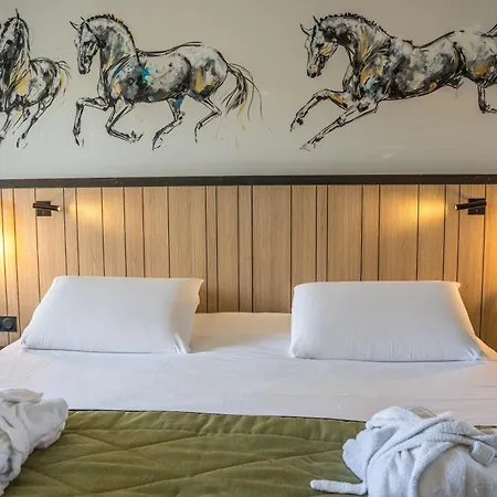 Mercure Bords De Loire Hotel 4*