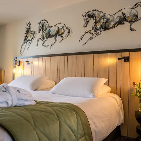Hotel Mercure Bords De Loire 4*