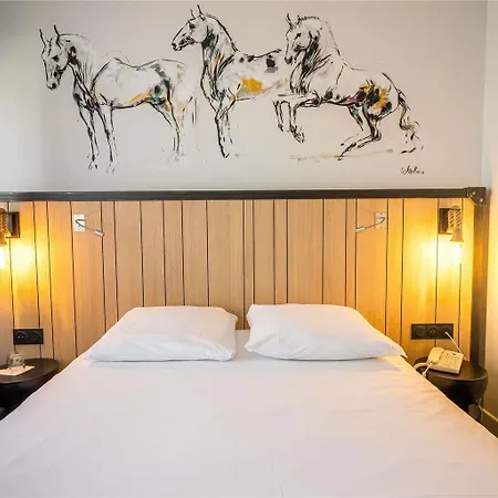 Mercure Bords De Loire 4*