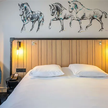 Mercure Bords De Loire 4*
